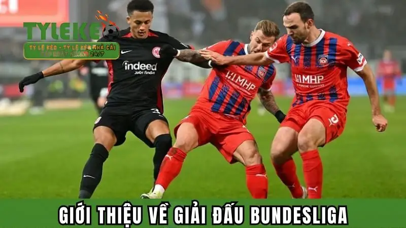 Giới thiệu vài nét về giải đấu