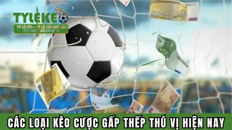 Tổng hợp các loại kèo gấp thếp thú vị hiện nay